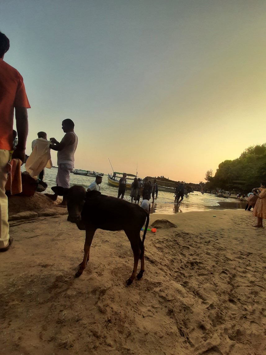 img/21/Gokarna (19).jpg